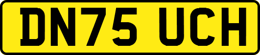 DN75UCH