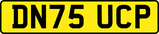 DN75UCP