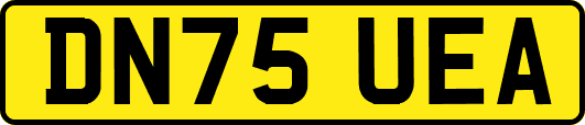 DN75UEA