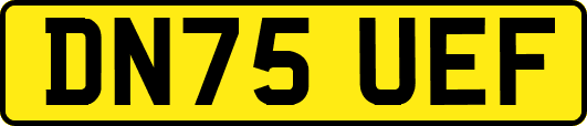 DN75UEF