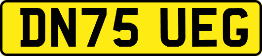 DN75UEG