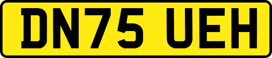 DN75UEH