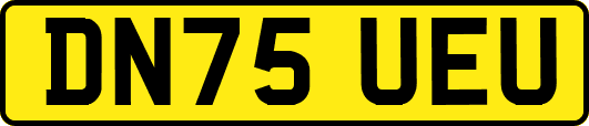 DN75UEU