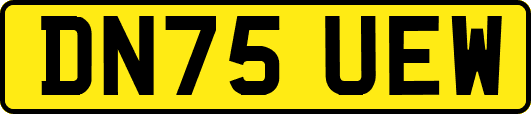 DN75UEW