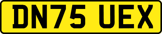 DN75UEX