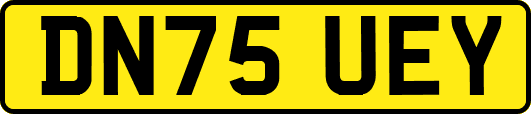 DN75UEY
