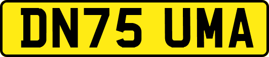 DN75UMA