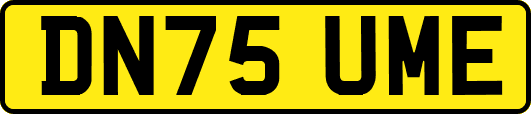 DN75UME