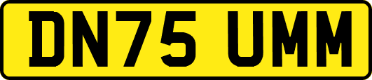 DN75UMM