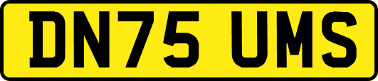 DN75UMS