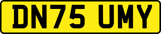 DN75UMY