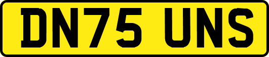 DN75UNS