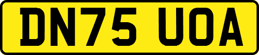 DN75UOA