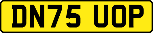 DN75UOP