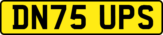 DN75UPS