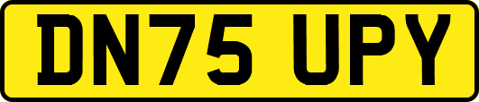 DN75UPY
