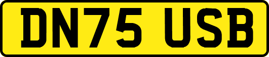 DN75USB