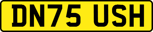 DN75USH