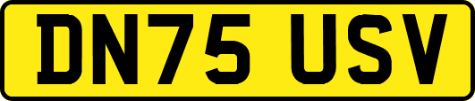 DN75USV