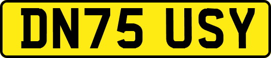 DN75USY