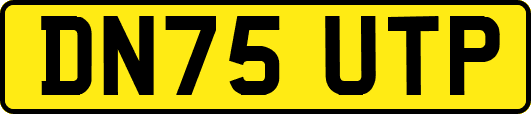 DN75UTP