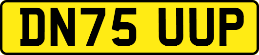 DN75UUP