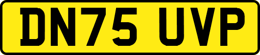 DN75UVP