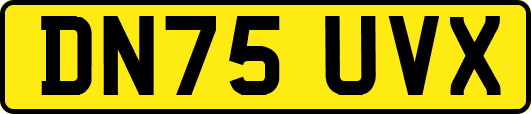 DN75UVX