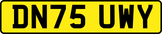 DN75UWY