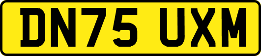 DN75UXM