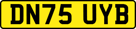 DN75UYB