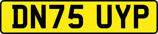DN75UYP