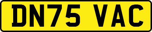 DN75VAC