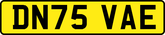 DN75VAE