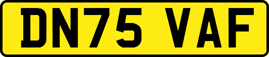 DN75VAF
