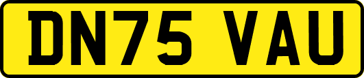DN75VAU