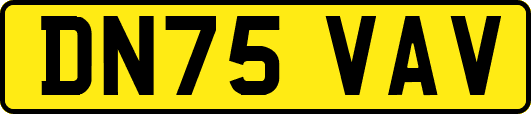 DN75VAV