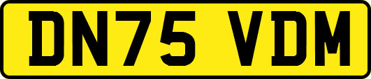 DN75VDM