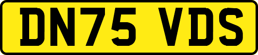 DN75VDS