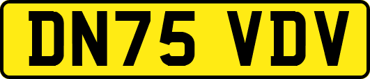 DN75VDV