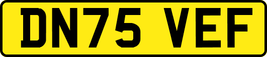 DN75VEF