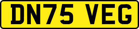 DN75VEG