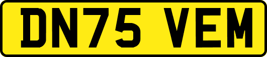 DN75VEM