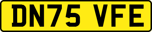 DN75VFE