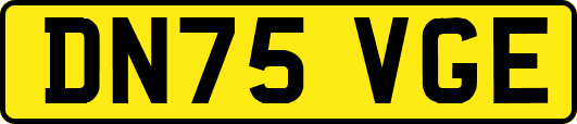 DN75VGE