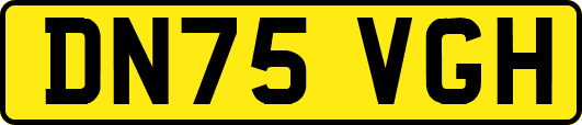 DN75VGH