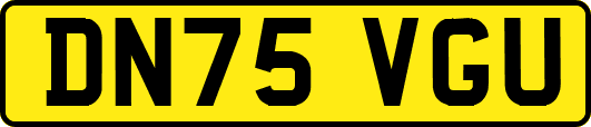 DN75VGU