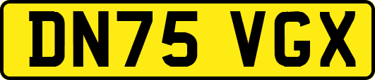 DN75VGX