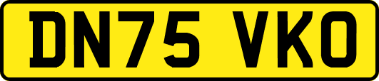 DN75VKO