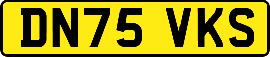 DN75VKS